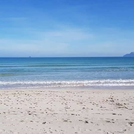 Ideal Property Mallorca - Avinguda Dels Pins 441 Playa de Muro  Kültér fotó